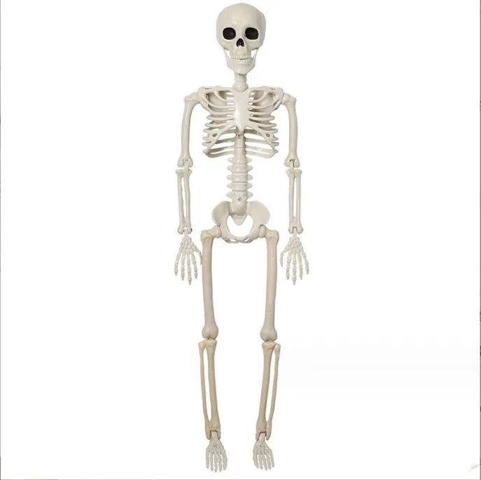 40cm Posable Halloween Skeleton Decoration