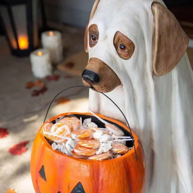 Halloween Pumpkin Dog & Cat Decorations 🎃🐾