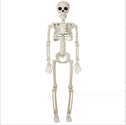 40cm Posable Halloween Skeleton Decoration