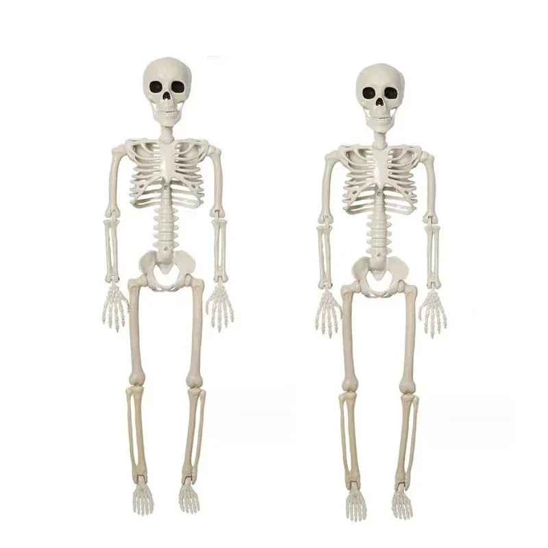 40cm Posable Halloween Skeleton Decoration
